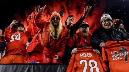 Bengals Announce $120 Million Upgrade to Stadium