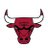 Chicago Bulls
